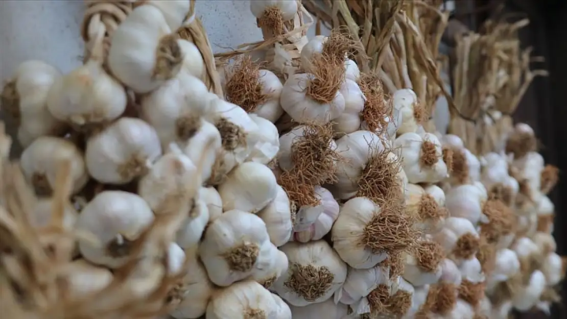 Konyalı çiftçiden ülke ekonomisine akıl almaz katkı!