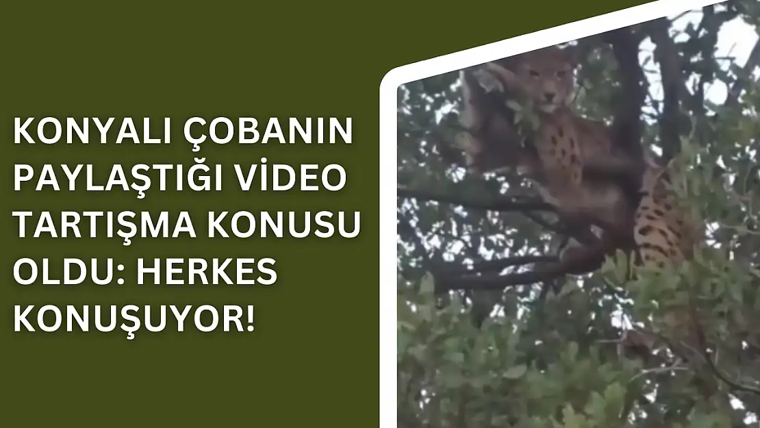 Konyalı çobanın paylaştığı video tartışma konusu oldu: Herkes konuşuyor!