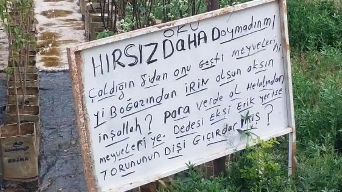 Konyalı fidancının hırsızlara karşı bulduğu ilginç çözüm