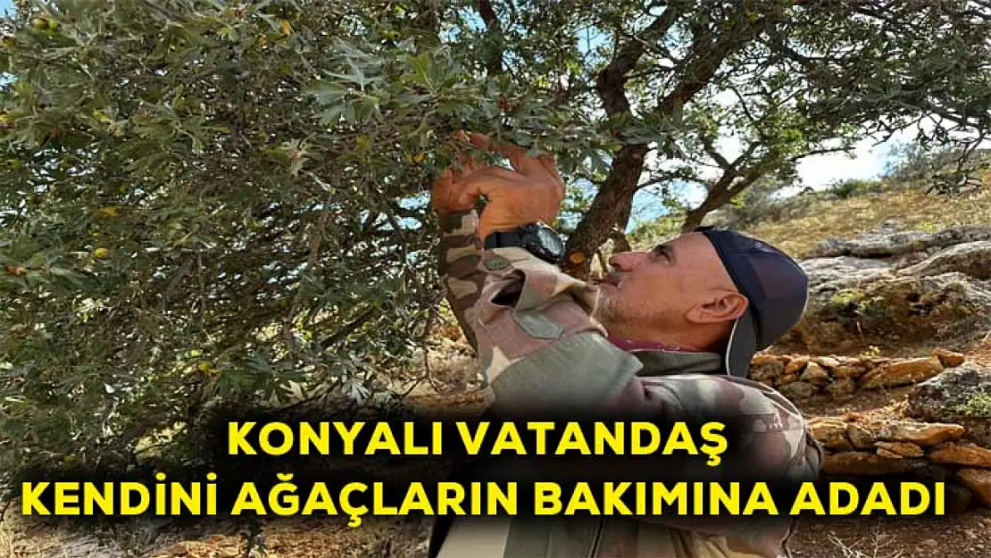 Konyalı vatandaş kendini ağaçların bakımına adadı