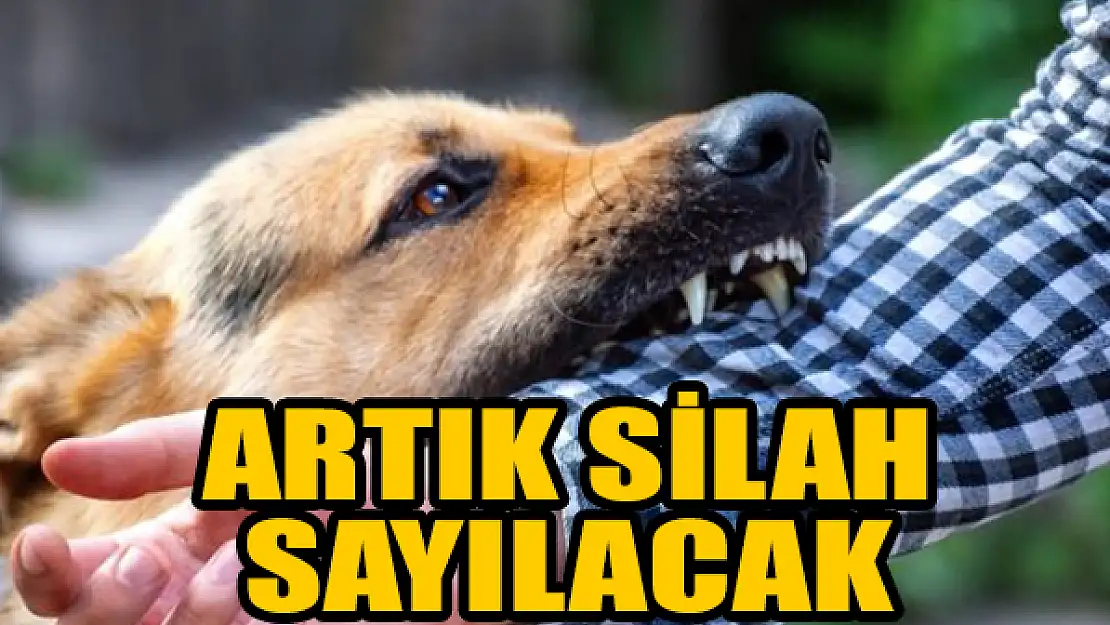 'Köpeğime ısırtırım' sözü silahla tehdit sayıldı