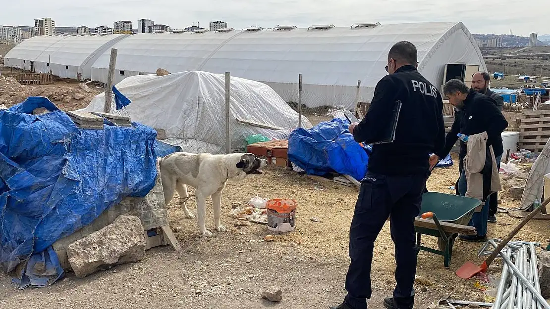 Köpek saldırısına uğrayan çocuk ağır yaralandı