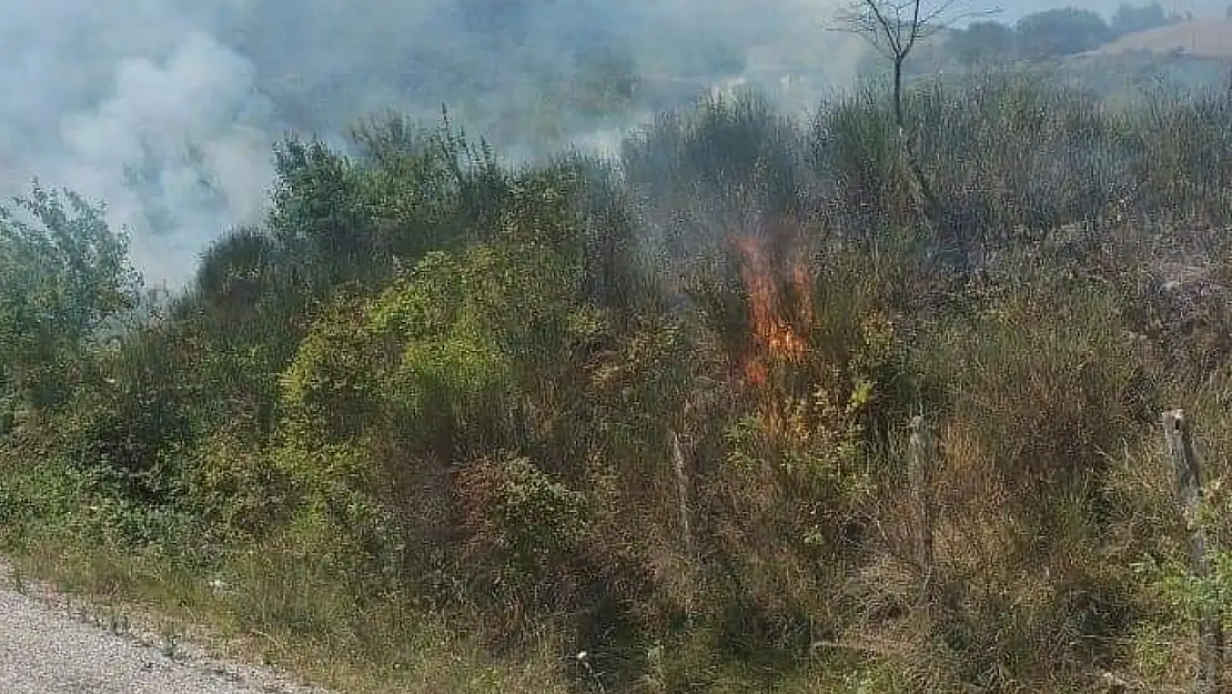 Köyde anız yangını çıktı