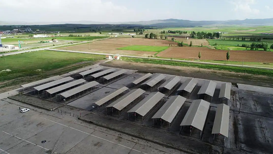 Kurban bayramı öncesi şok! Tüm hayvan pazarları kapatıldı