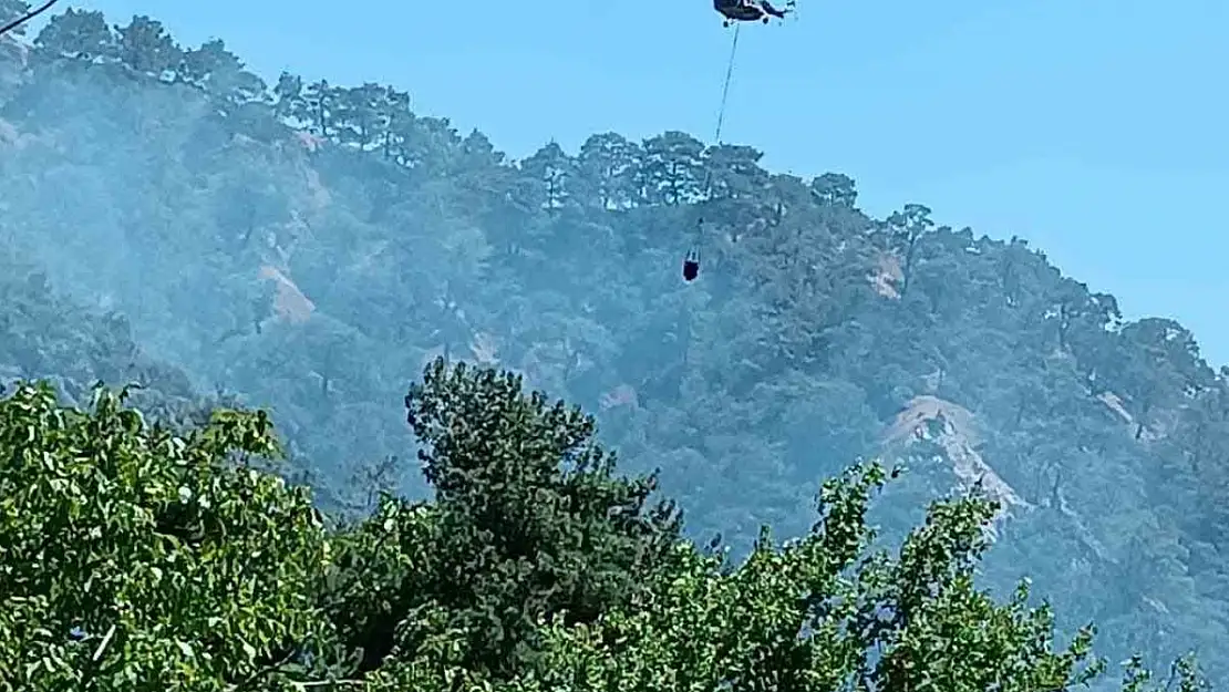 Kuyucak'taki orman yangınının nedeni belli oldu