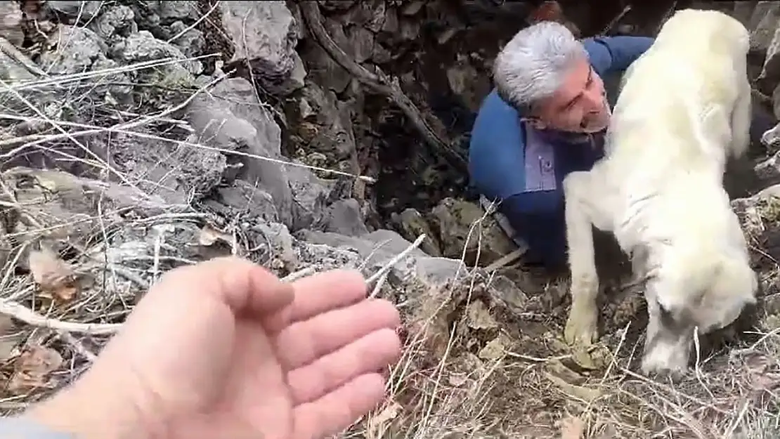 Kuyuya düşen  köpeği vatandaşlar kurtardı