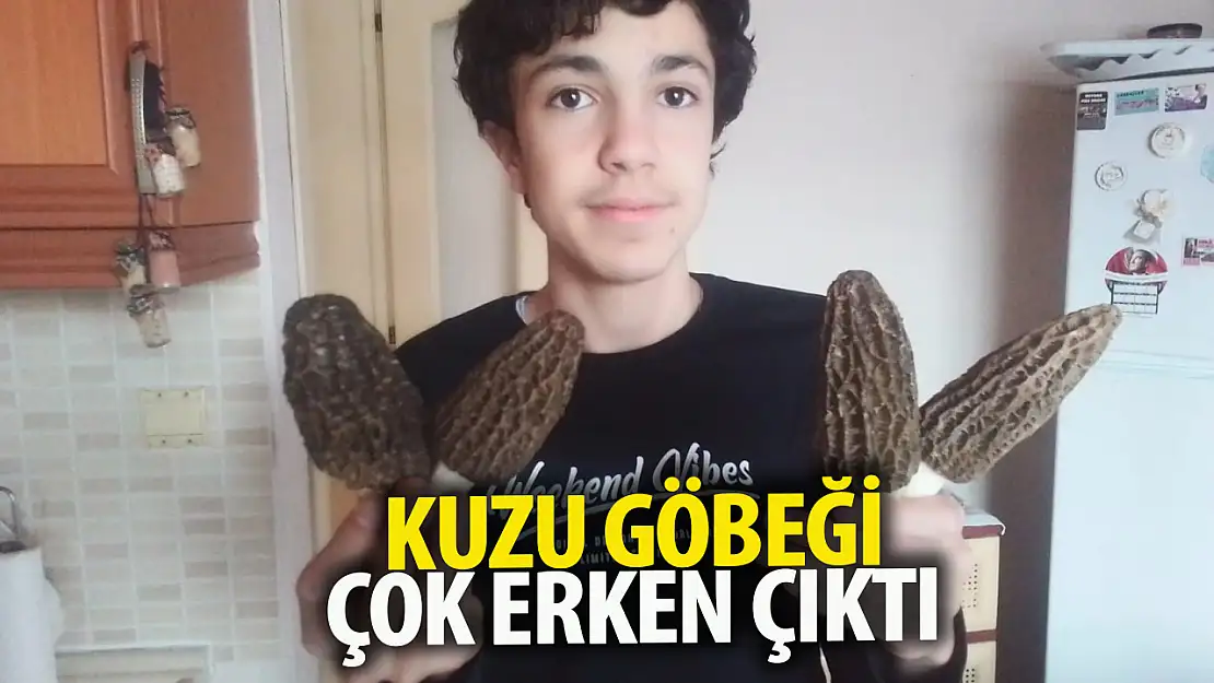 Kuzugöbeğinde sezon erken başladı