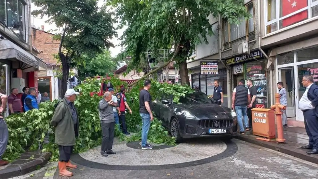 Lüks otomobilin üzerine şiddetli rüzgarda kırılan ağaç dalı düştü