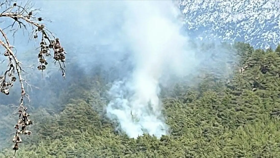 Manavgat'ta orman yangını: Çok sayıda ekip olay yerinde!