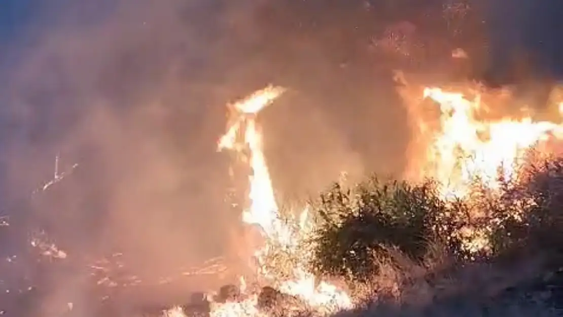 Mardin'deki orman yangını ekipler tarafından söndürüldü