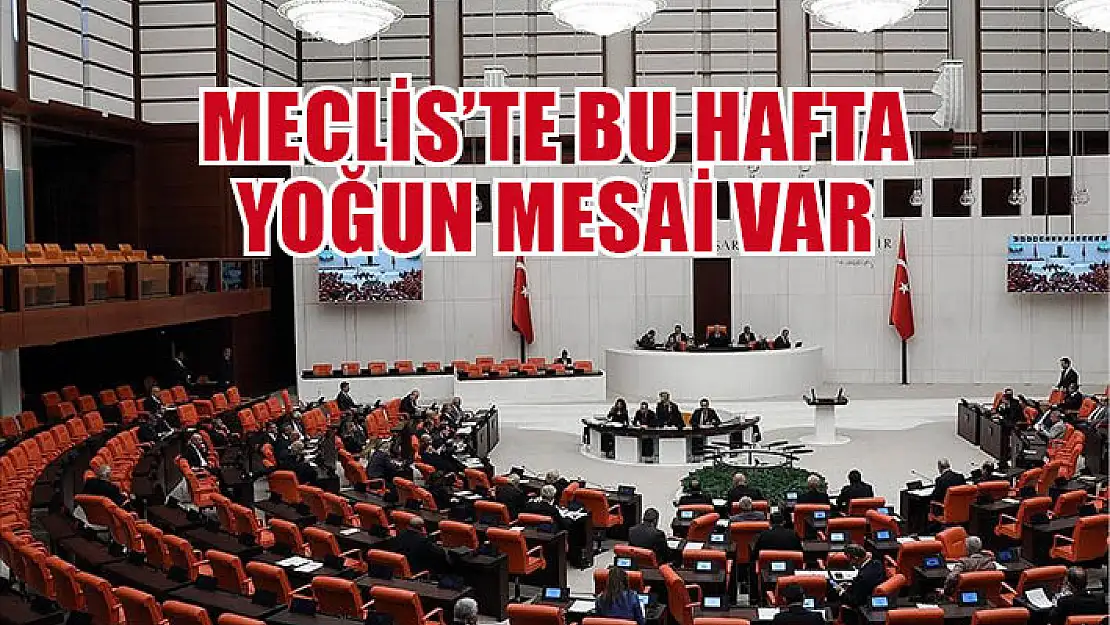 Meclis'te, bu hafta yoğun mesai var