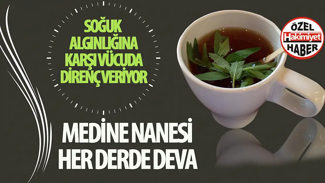 Medine nanesi her derde deva!.. Soğuk algınlığına karşı vücuda direnç veriyor!