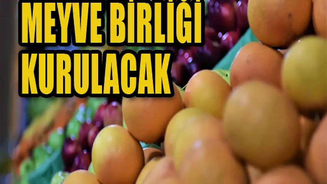 Meyve birliği kuruluyor...