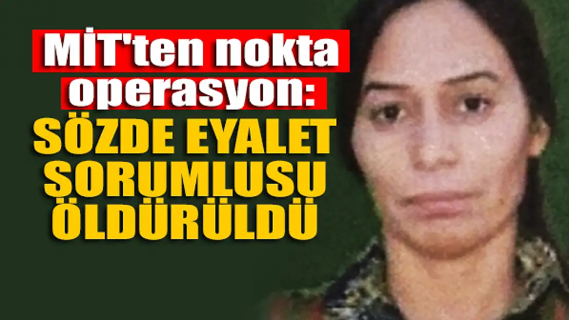 MİT'ten nokta operasyon: Sözde eyalet sorumlusu öldürüldü