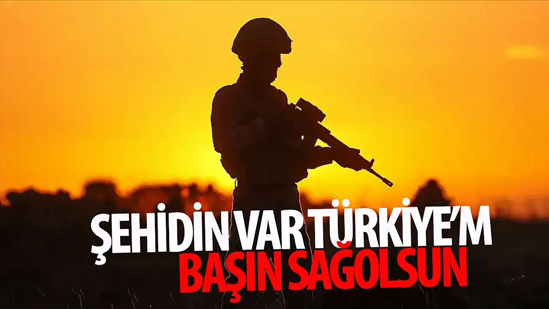 MSB acı haberi duyurdu: Şehidin var Türkiye!