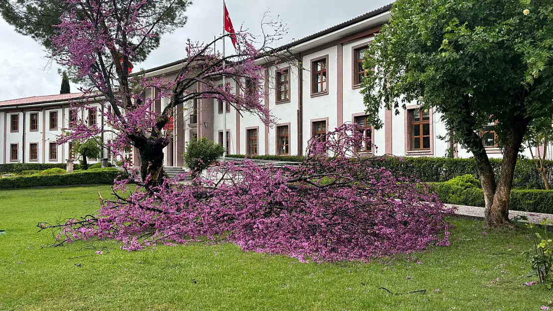 Muğla'da kuvvetli rüzgar ve sağanak günlük yaşamı etkisi altına aldı