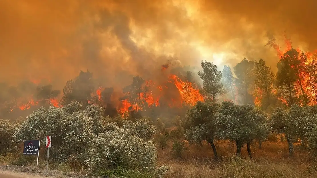 Muğla'daki yangınlara eş zamanlı müdahale!