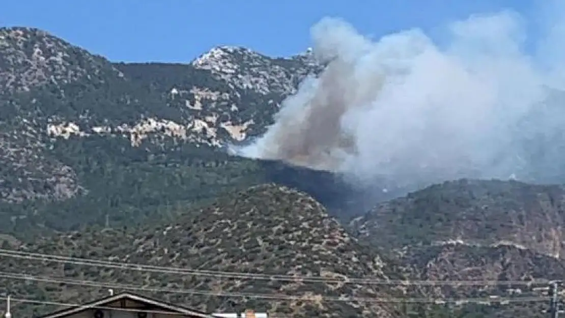 Muğla'da orman yangını: Rüzgarın etkisiyle yayıldı!