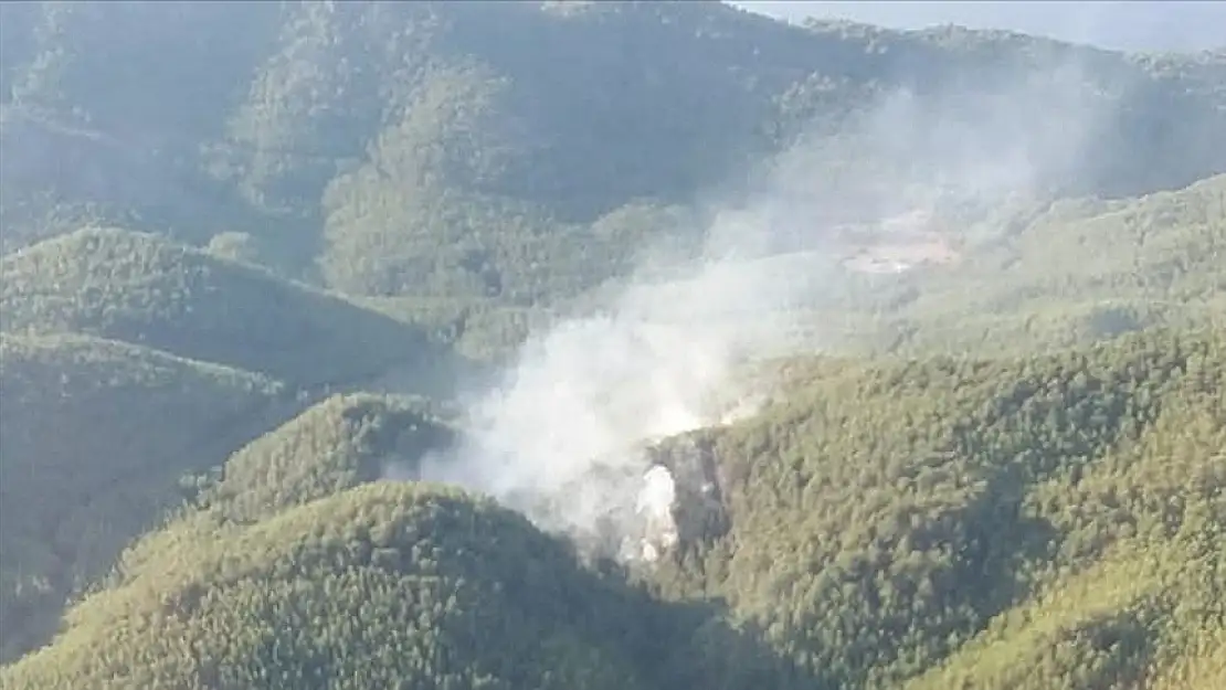 Muğla'da orman yangını