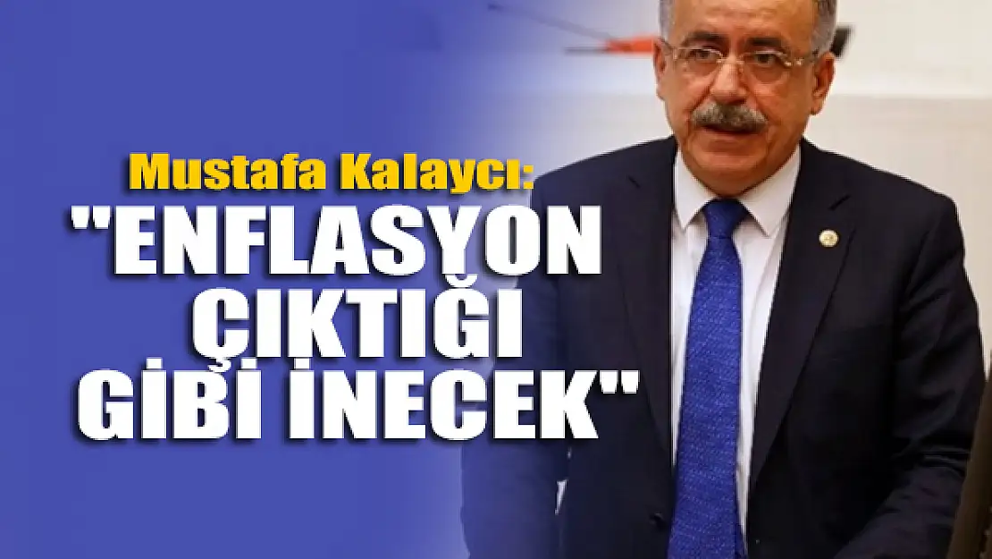 Mustafa Kalaycı: 'Enflasyon çıktığı gibi inecek'