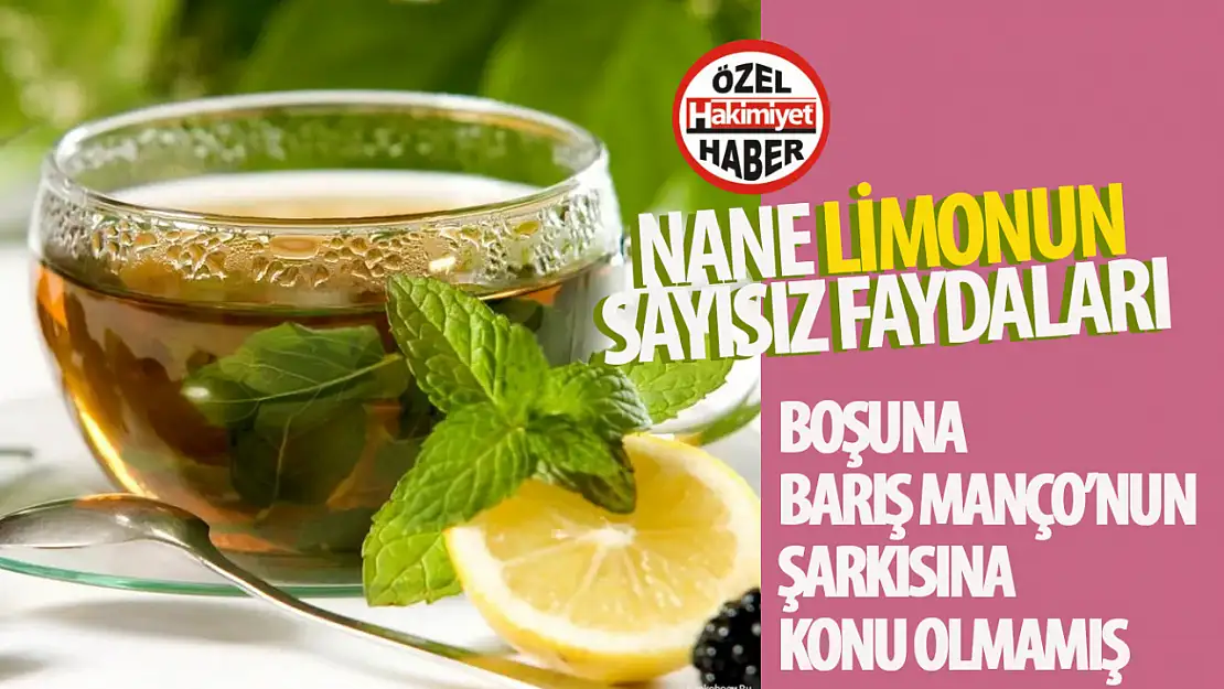 Nane Limonun Faydaları: Doğal Şifa Kaynağı