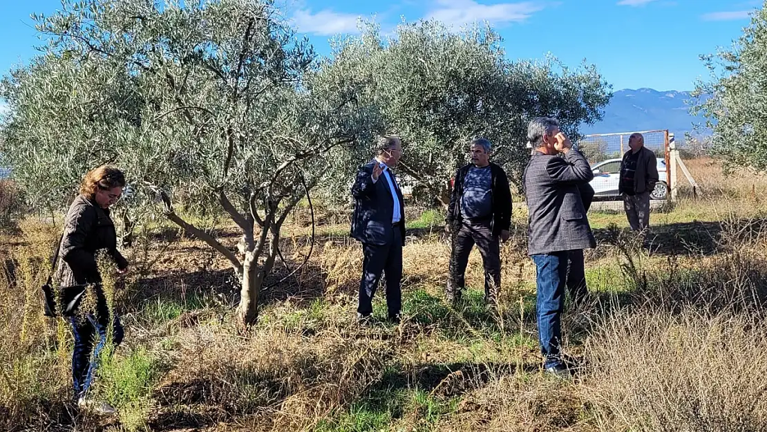 O meyve ağacında dal kanseri görüldü: Üreticiler uyarıldı!