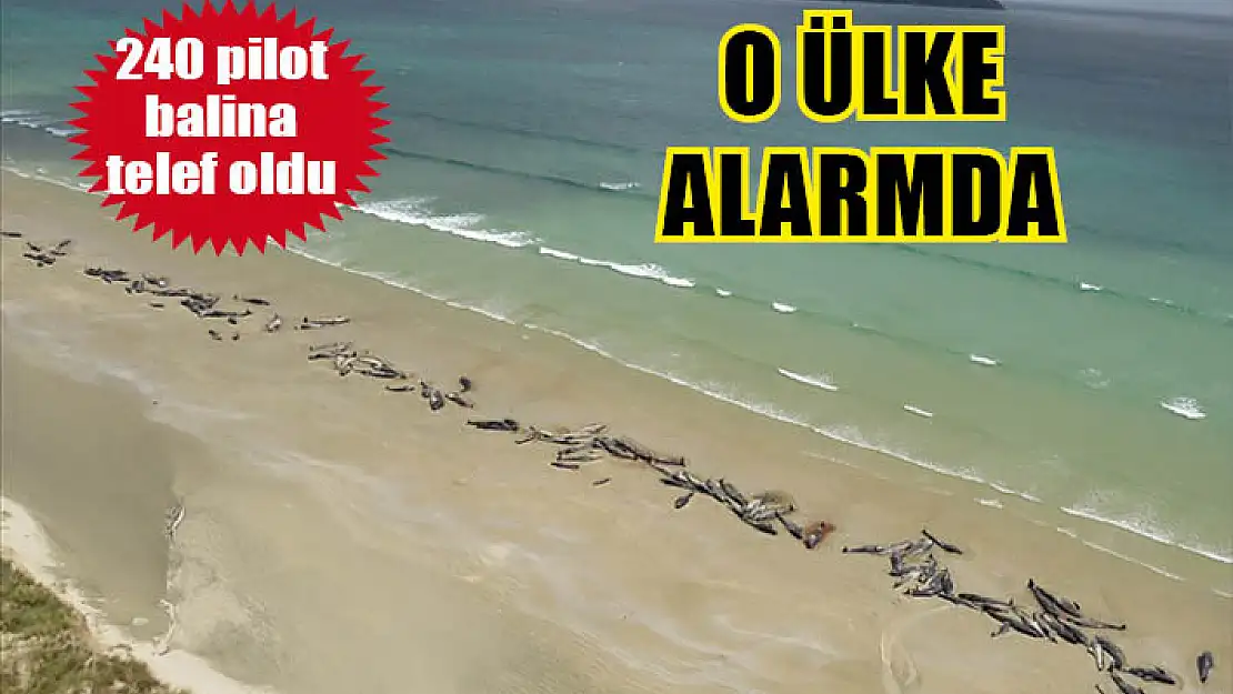 O ülke alarmda