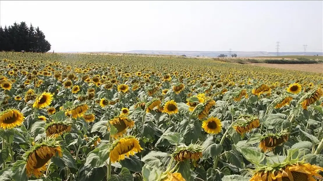 O üründe gümrük vergisinin düşürülmesi kararı uzatıldı!