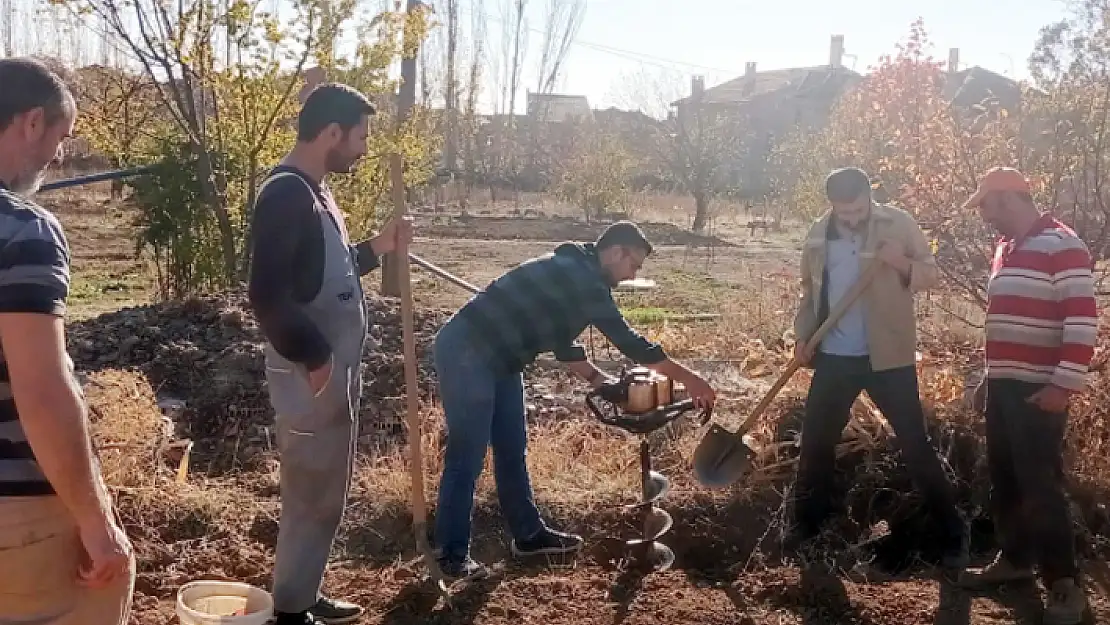 Öğretmenler boş araziye ceviz ve badem fidanı ekti