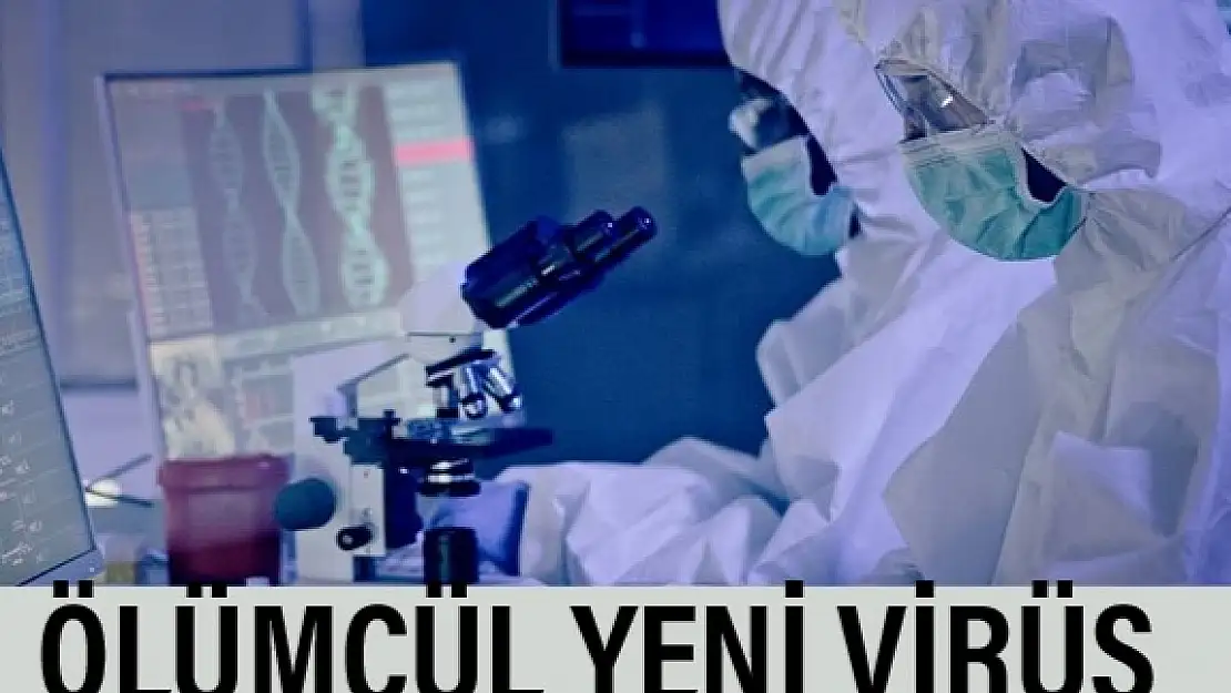 Ölümcül yeni virüs