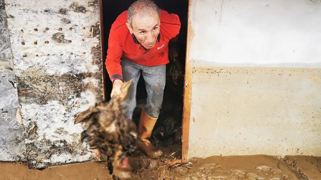 Ordu'da dereler taştı, kümes hayvanları telef oldu