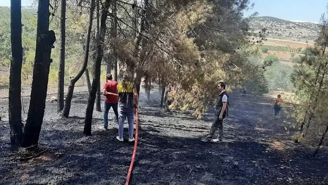 Orman yangını kısa sürede kontrol altına alındı