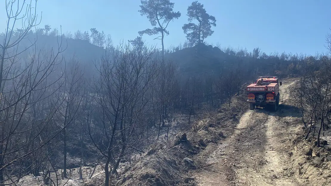 Ormanlık alanda yangın çıktı