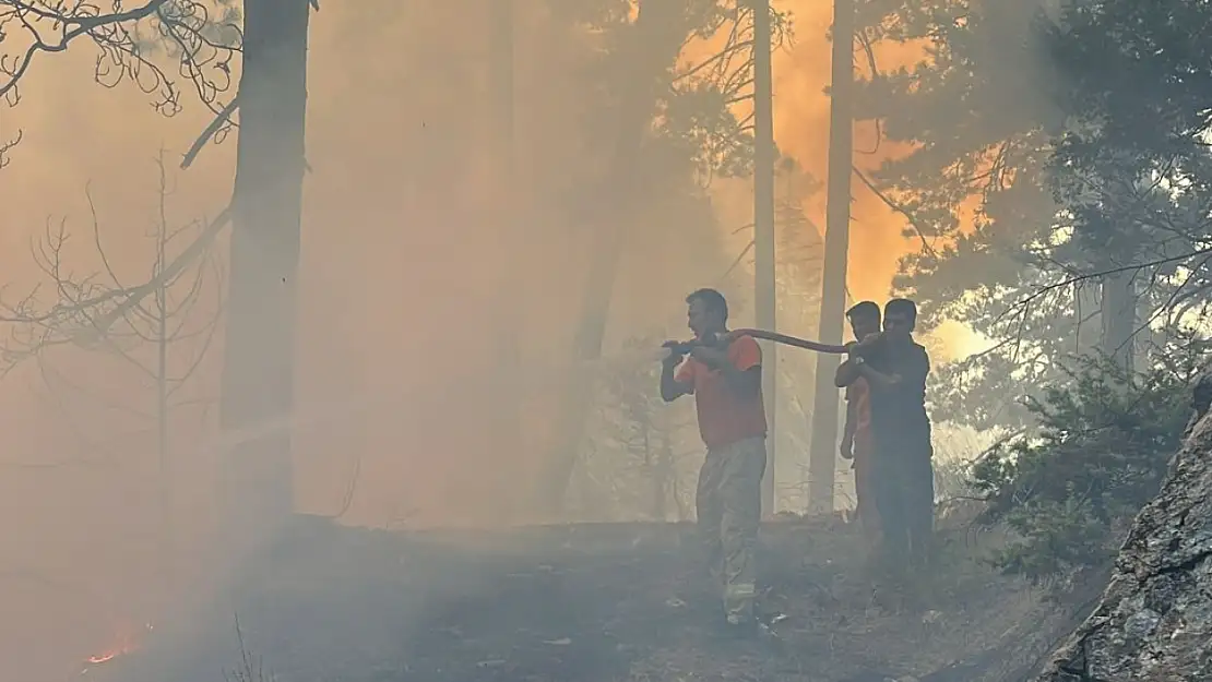 Ormanlık alanda yangın çıktı