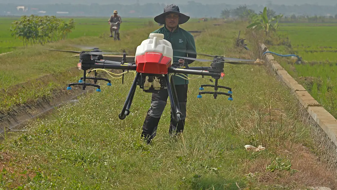 Orta Java'da Çiftçiler Tarımda Dronları Kullanıyor