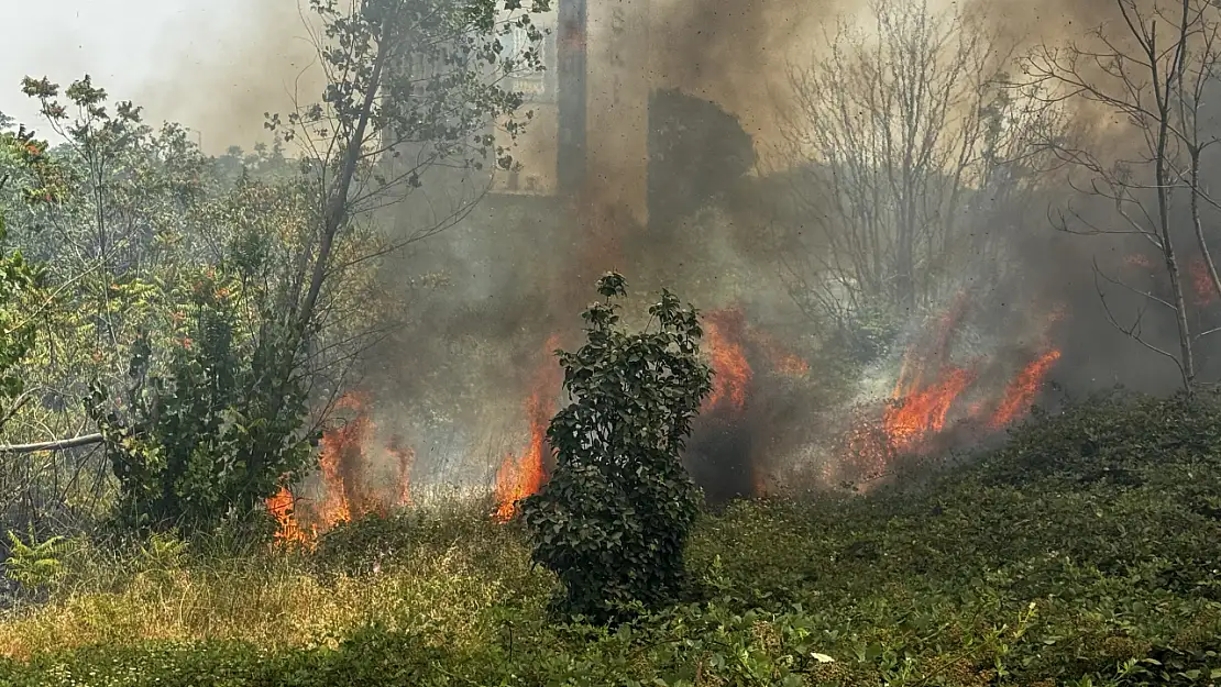 Osmangazi'de çıkan orman yangını hızla söndürüldü