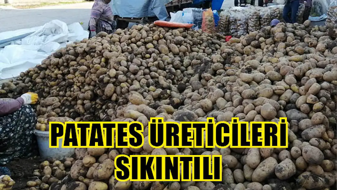 Patates üreticileri sıkıntılı