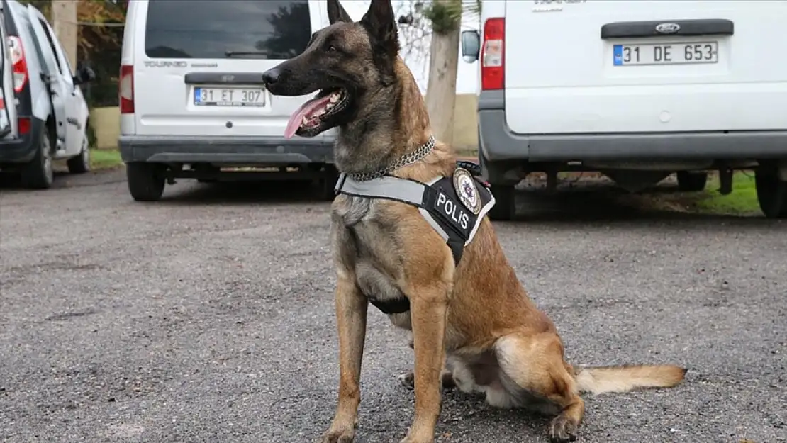 Polis, koçbaşı ile kapıyı kırıp narkotik köpeği ile arama yaptı