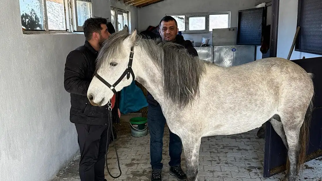 Rahvan atlara sağlık taraması