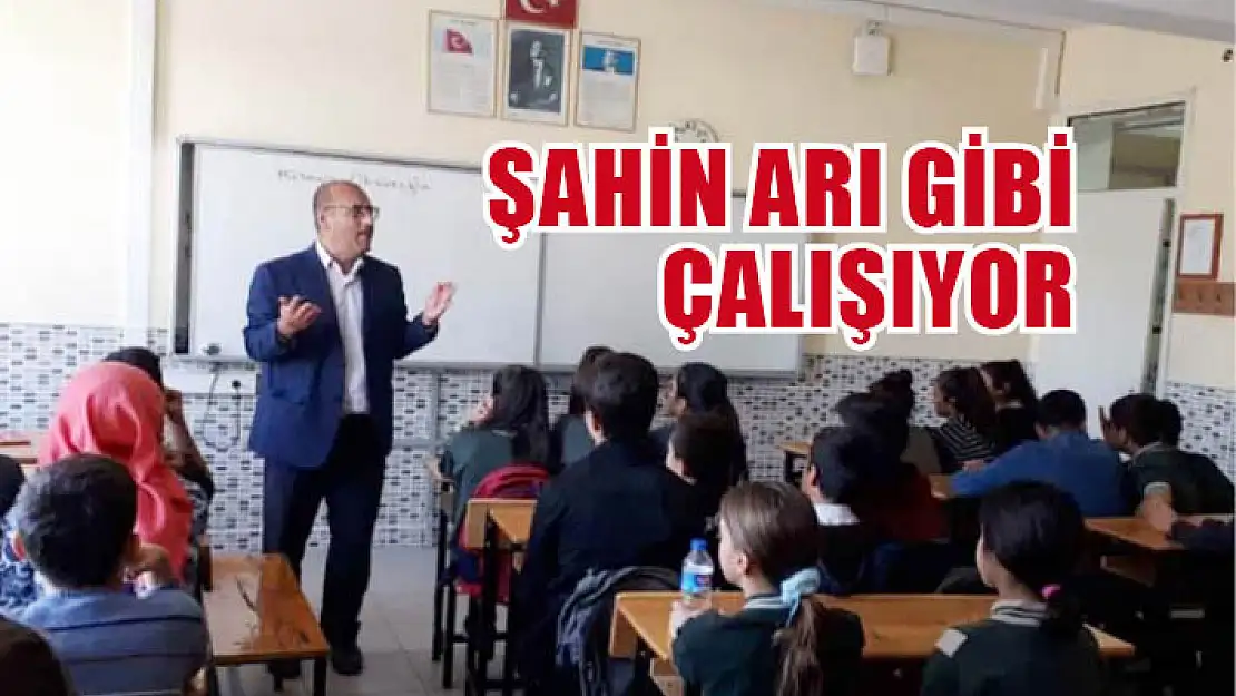 Şahin arı gibi çalışıyor