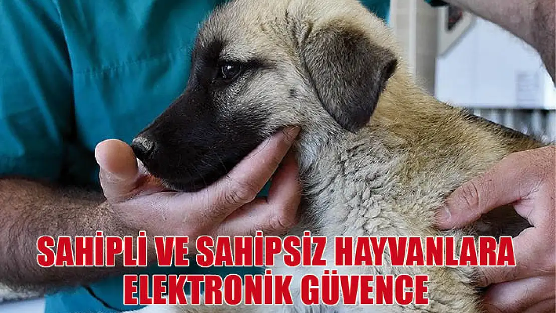 Sahipli ve sahipsiz hayvanların tedavi ve aşılama süreçlerine elektronik güvence