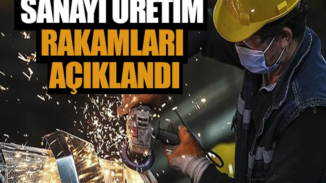 Sanayi üretim rakamları açıklandı