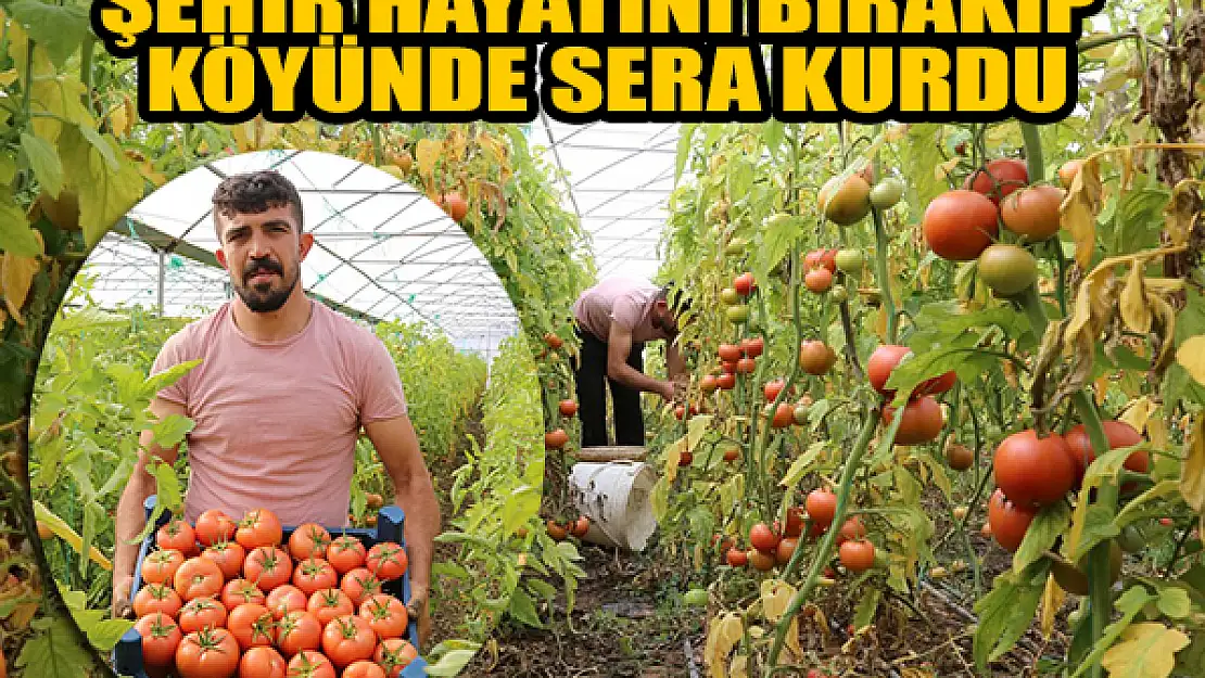 Şehir hayatını bırakıp köyünde sera kurdu