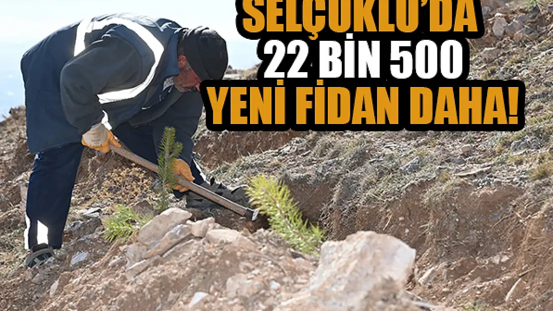 Selçuklu'da 22 bin 500 yeni fidan daha kazandırıldı