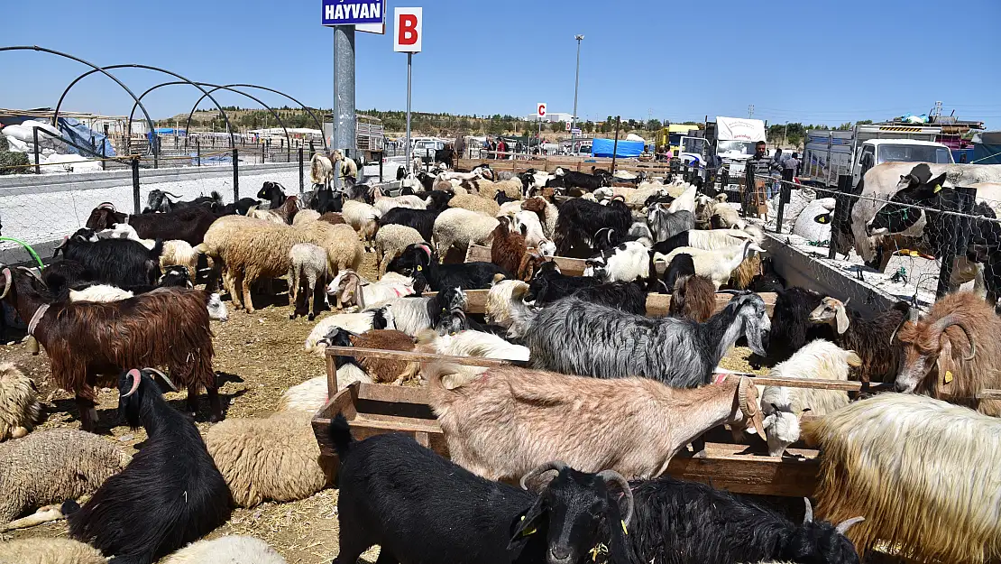 Selçuklu'da kurban satışı başladı