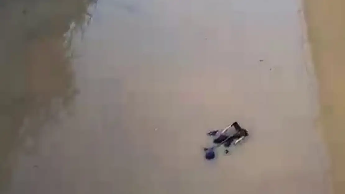 Selde boğulmak üzere olan kadın son anda kurtarıldı: Nefes kesen anlar an be an kaydedildi!