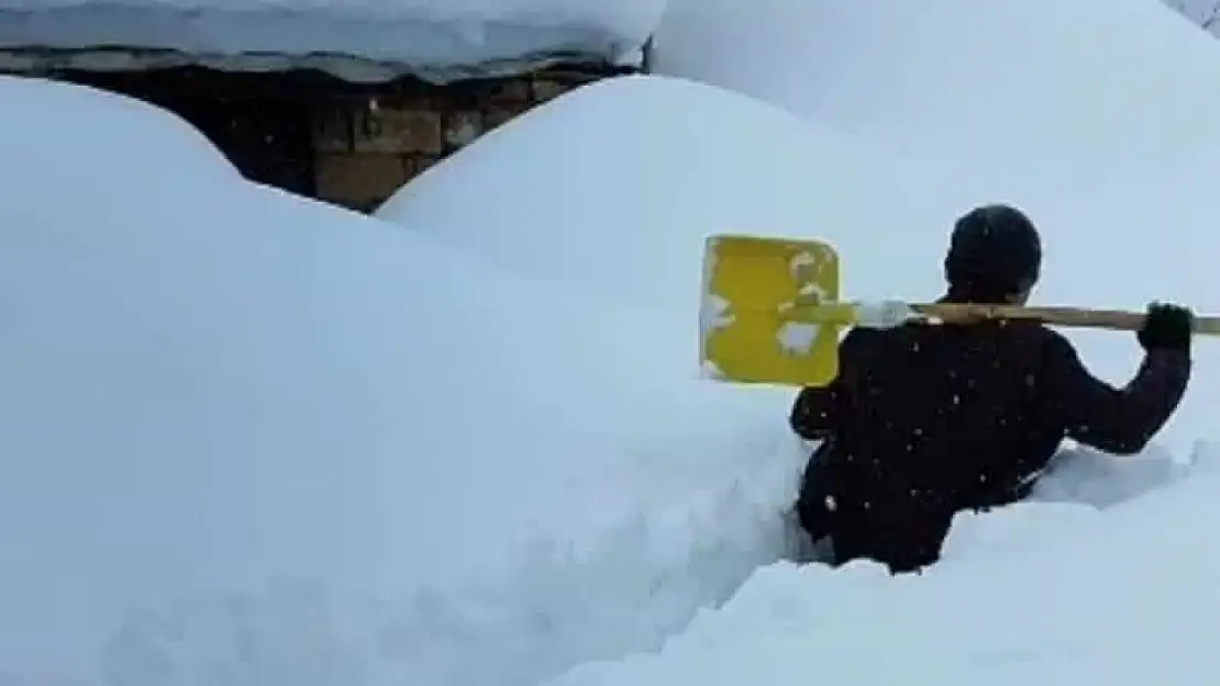 Şemdinli'de evler kara gömüldü