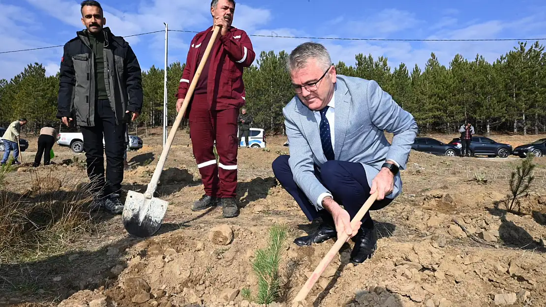 Seydişehir'de fidanlar toprakla buluştu