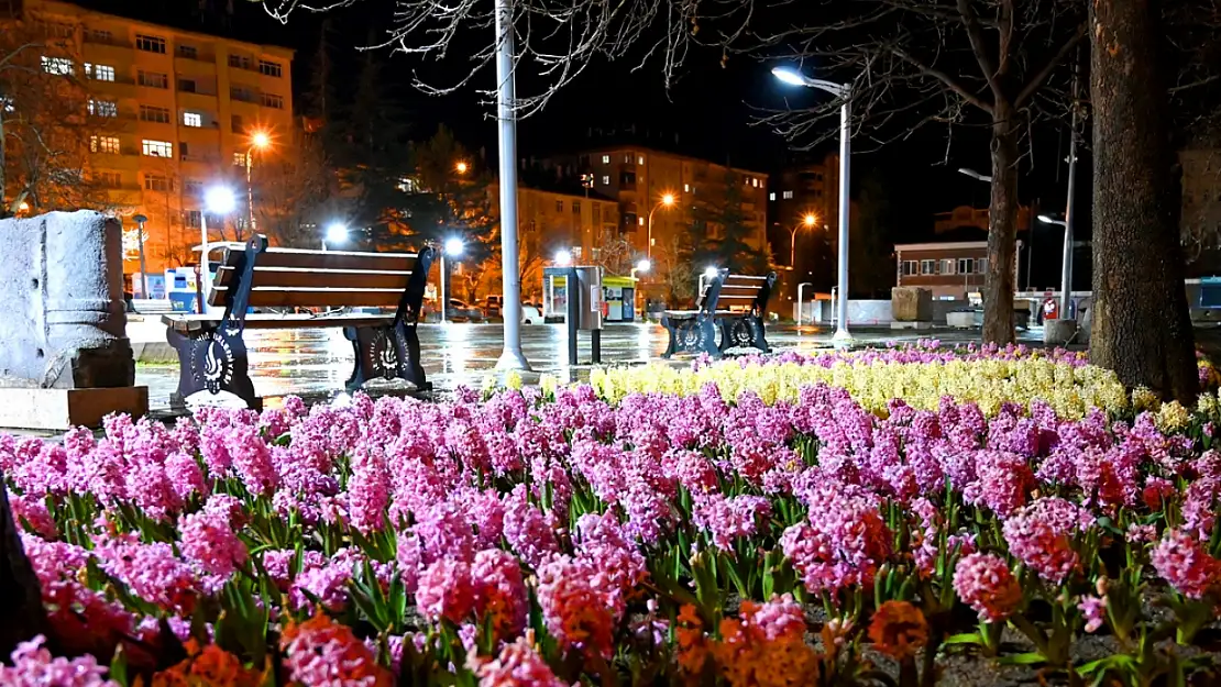 Seydişehir'de laleler rengarenk