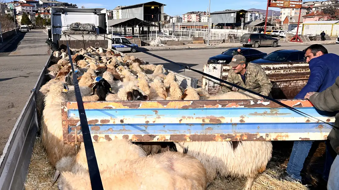 Seydişehir'den Gaziantep'e küçükbaş hayvan desteği